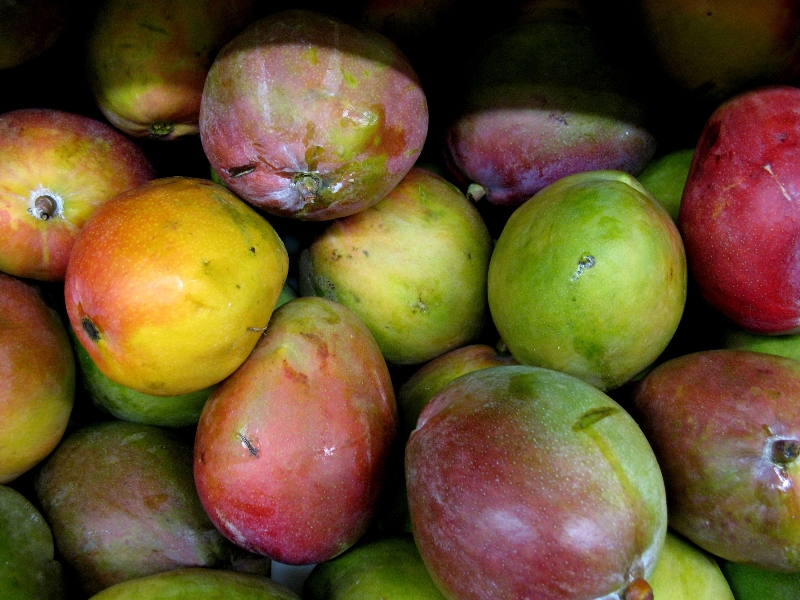 Get Baked: You Have Too Many Mangos