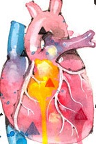 picture of heart sirin thada