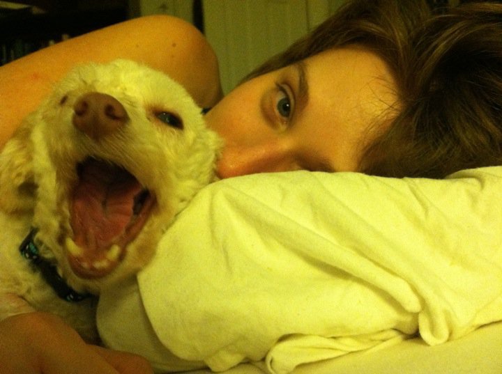 Playlist: Tiny Songs For Your Sleepy Brain