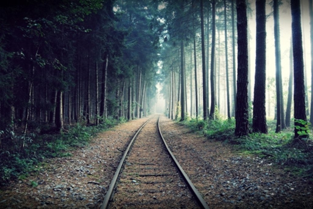 Playlist: Go Your Own Way