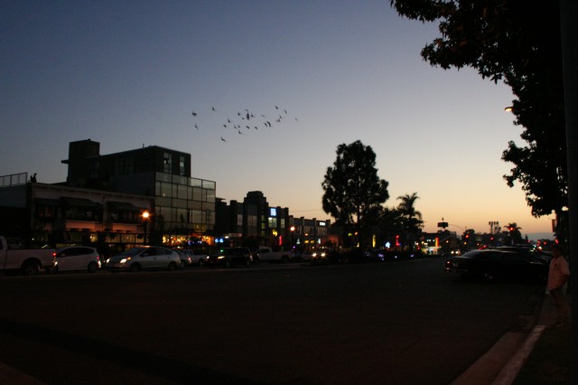 UNIVERSITY AVENUE SAN DIEGO CALIFORNIA