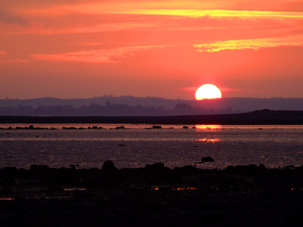 Sleep Cycle Makes Rising and Shining A Feasible Possibility