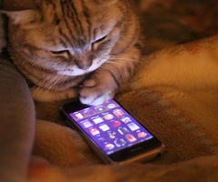 tumblr_lh1i7gfkiK1qavktfo1_500_thumb