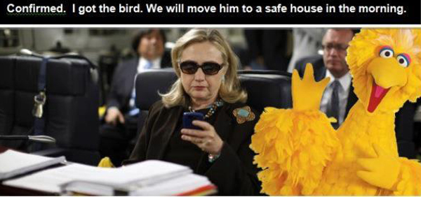 Hill_Bird_Main