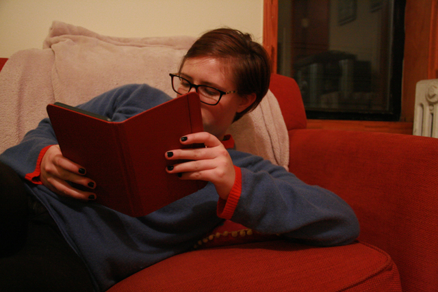 her kindle cover matches our couch