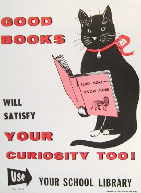 read-more-know-more-via-brainpickings