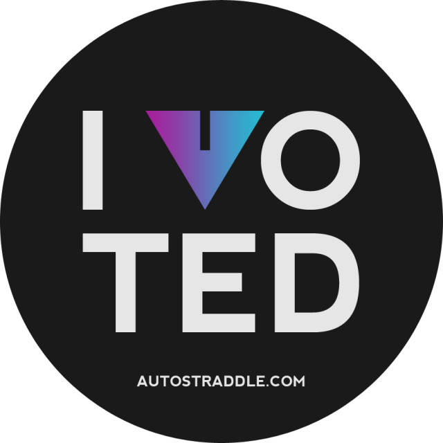 autostraddle i voted
