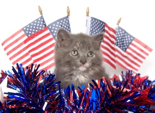 OPEN THREAD: 2012 Election Day Live-Blog, With Extra Feelings
