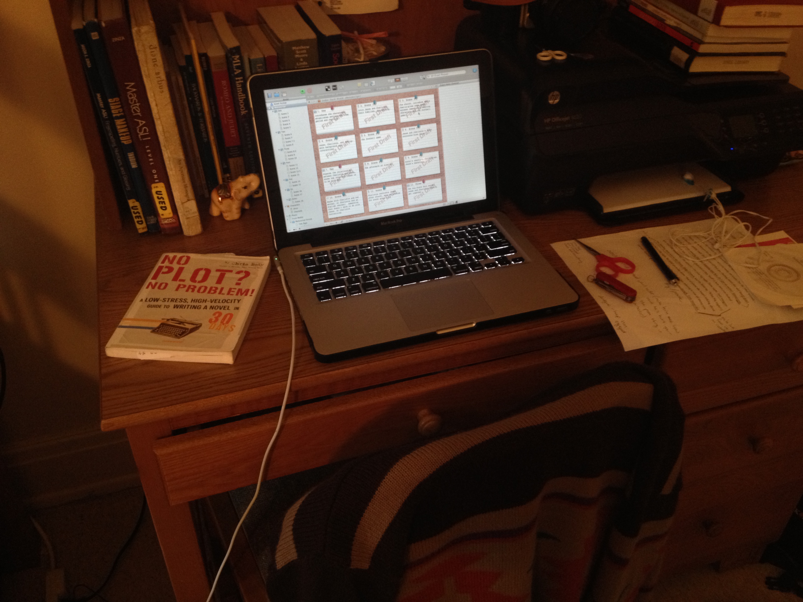 College Lesbianage Class of 2016: NaNoWriMo Hopes and Dreams