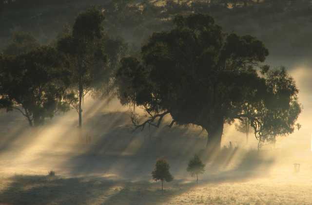 sunlight