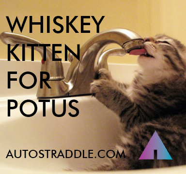 whiskey kitten for potus