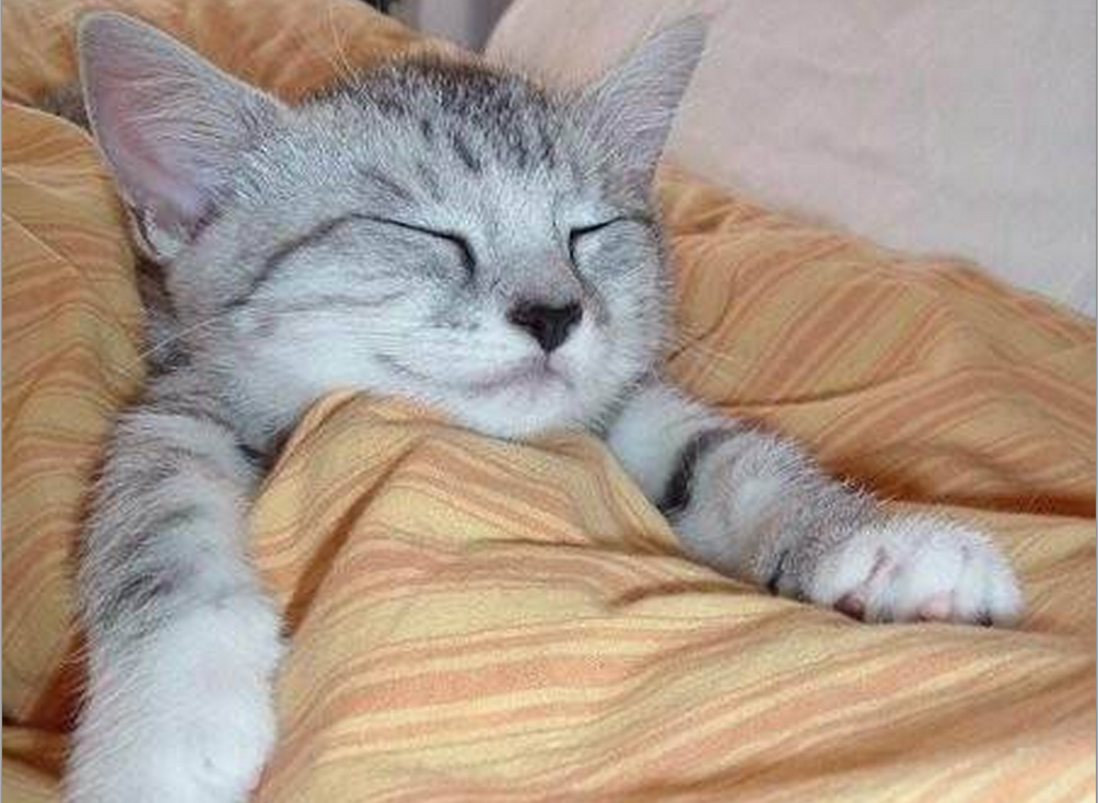25 Reasons I’m Finally Starting to Enjoy Being Single (Besides Sleeping Around)