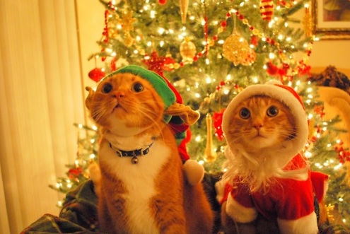 How To Own It: The Christmas Special