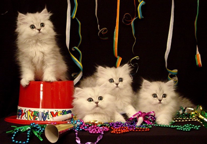 New Year’s OPEN THREAD: Resolution Party Time