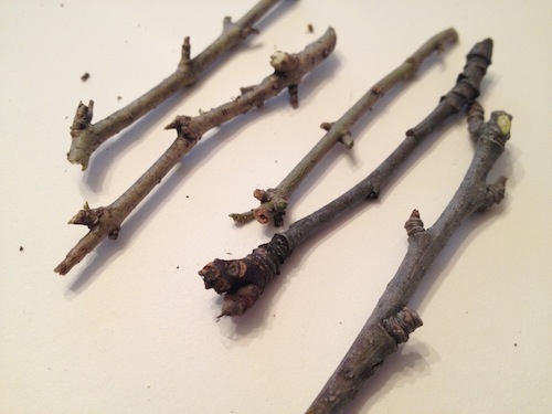 photo-3