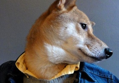 The Dapper Fashion Blogger Dog Of Our Dreams Is Real and There Are Pictures