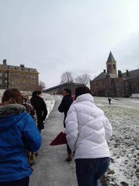 cornell