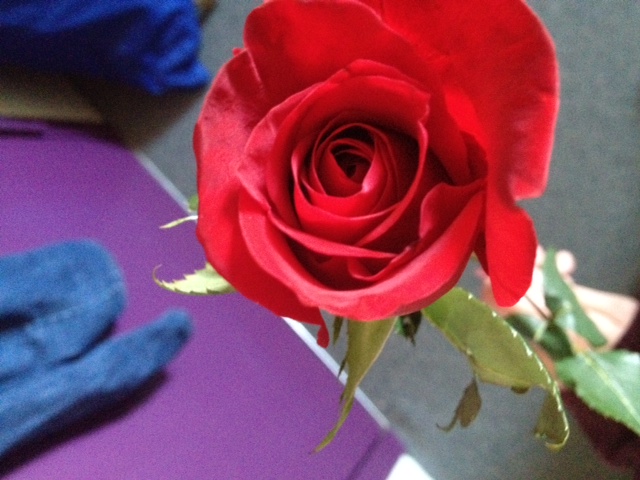 rose