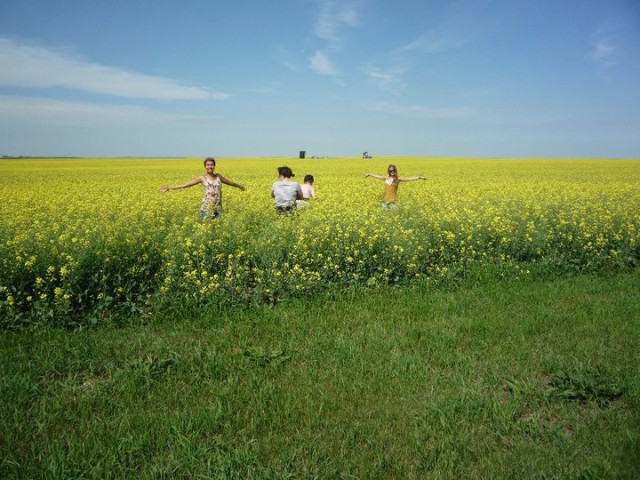 That's me on the far left. Canola fields are fun, but what no one ever tells you is they're also full of things that scratch and bite your legs!
