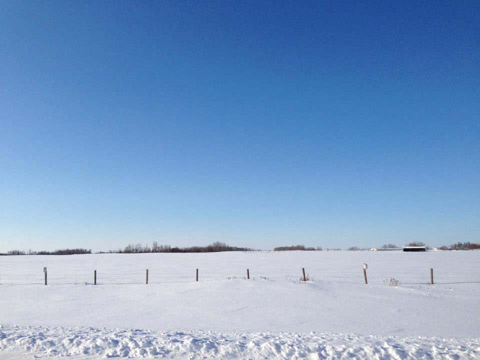 A Prairie Homo Companion: Prairie Homo Spring