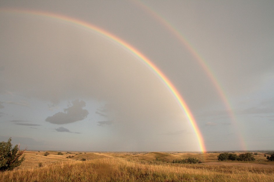 A Prairie Homo Companion: 50 Things I’ll Miss if I Leave the Prairies