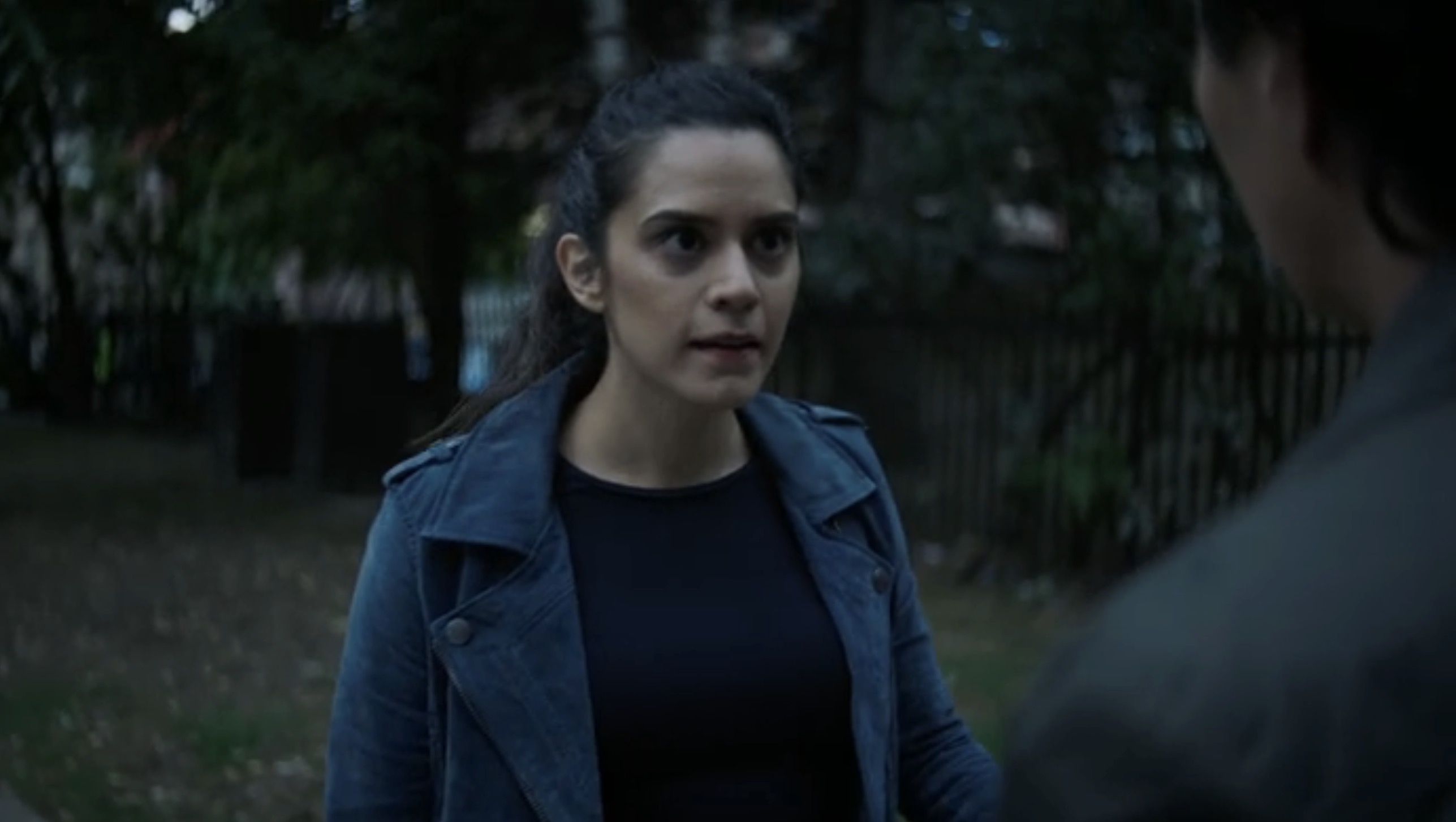 sepideh moafi in "falling water"