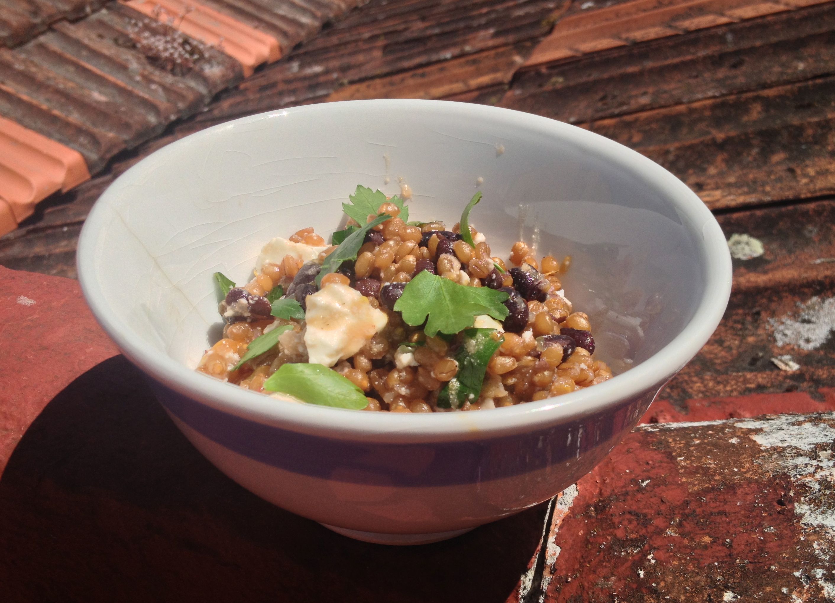 You Can Take It With You: Blood Orange and Wheat Berry Salad