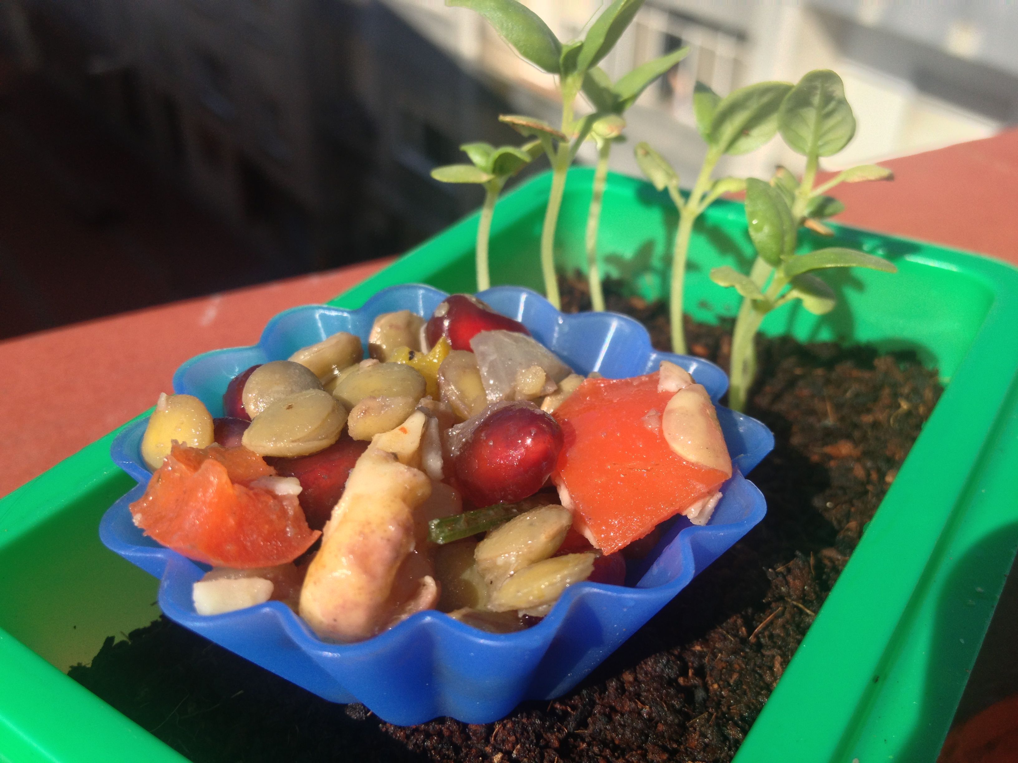 You Can Take It With You: Rainbow Lentils