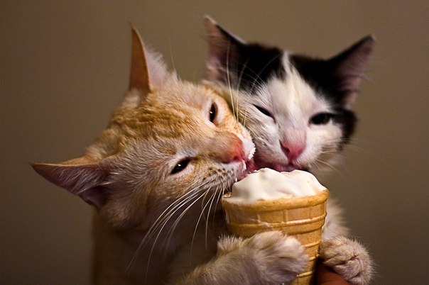 Get Baked: Lemon Mascarpone Ice Cream