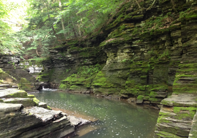 Sunny’s College Lesbianage: Ithaca Is Gorges