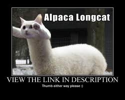 like what happens when you google image search "really weird"