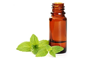 DIY Beauty Bar: Bug Off!