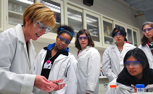 Queered Science: Why Social Justice and STEM Fields Should Hang Out More Often