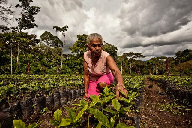 Domestic Work Is Real Work: Nicaraguan Co-Ops Stop Being Polite and Start Paying Women