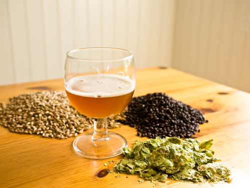 You Brew You: Homebrewing 101