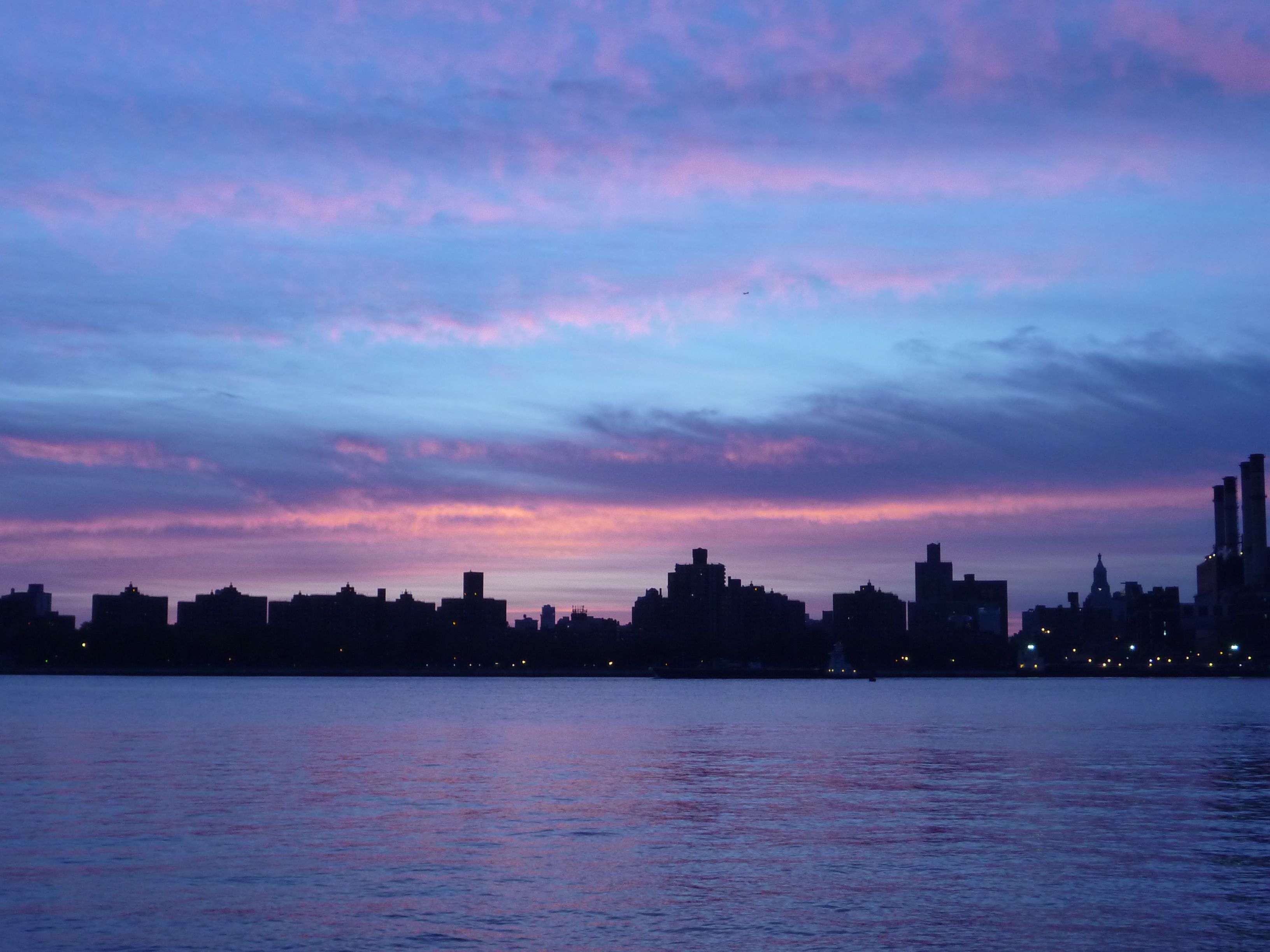 The Poet and the Scientist: The Concrete Jungle and the Garden State