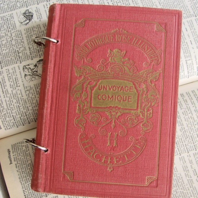If anything is too beautiful, it’s this gorgeous vintage-y journal (via Too Askew)
