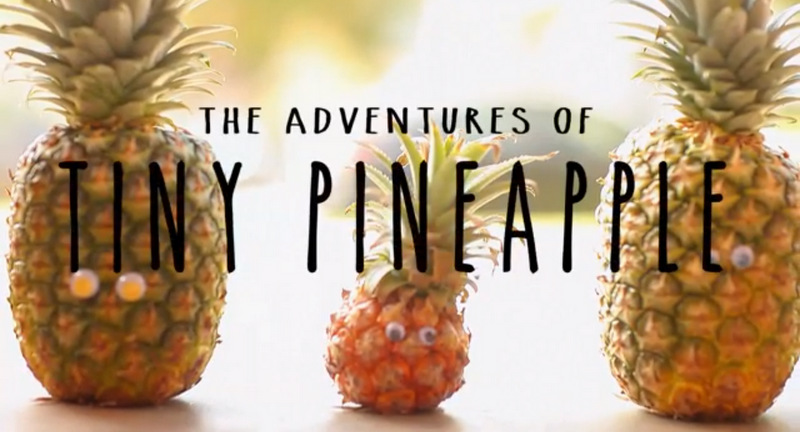 Tiny Pineapple: The Next Big Thing on Small Screens