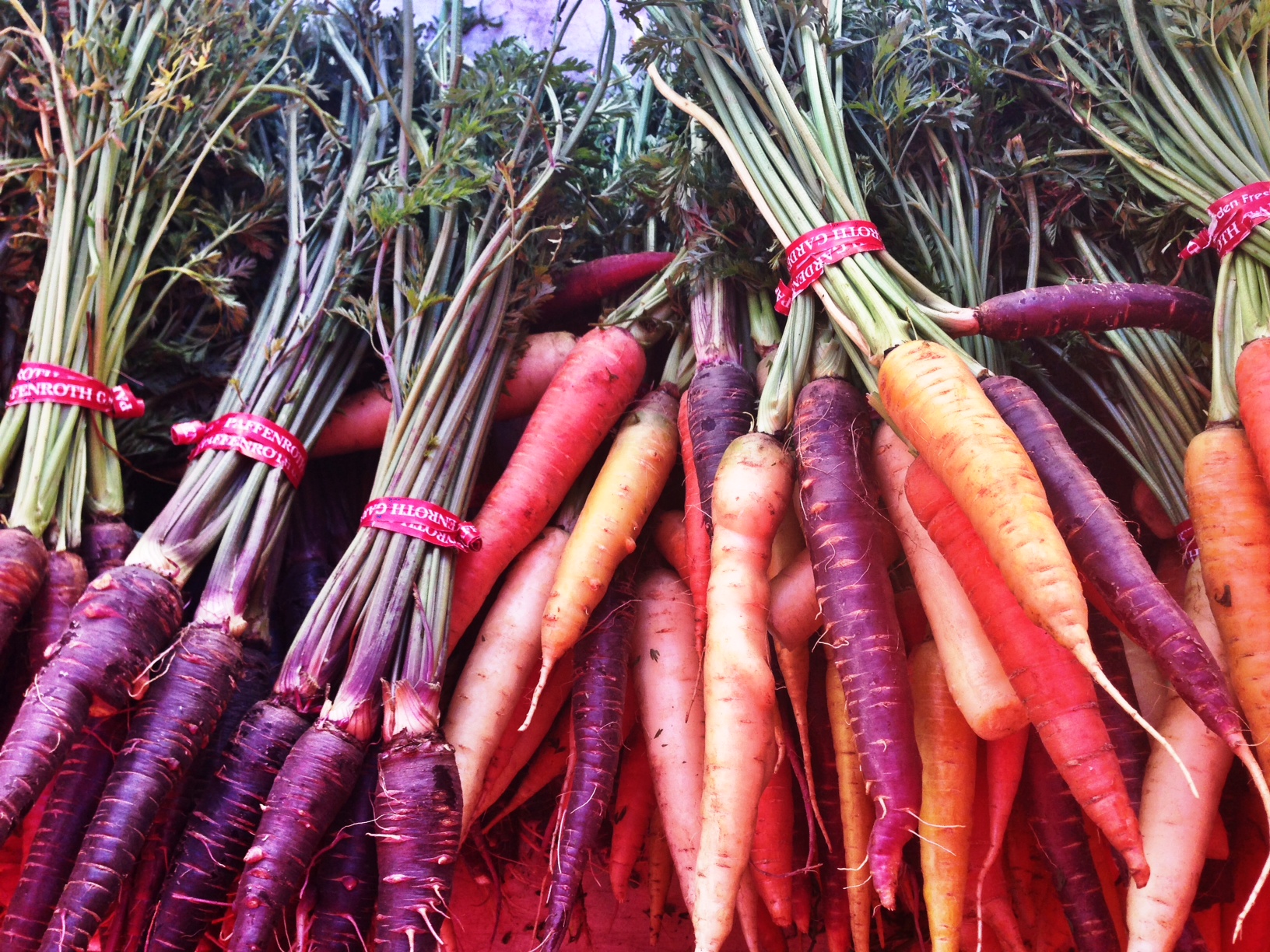 Wilder Hungers: Delicious Autumn