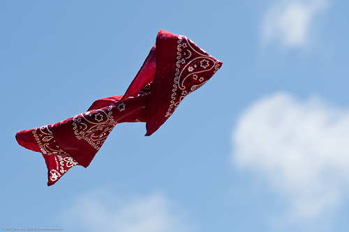 MAY WE ALL BE MORE LIKE THE BANDANA