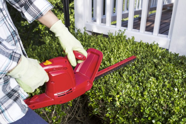hedge_trimmer-620x412