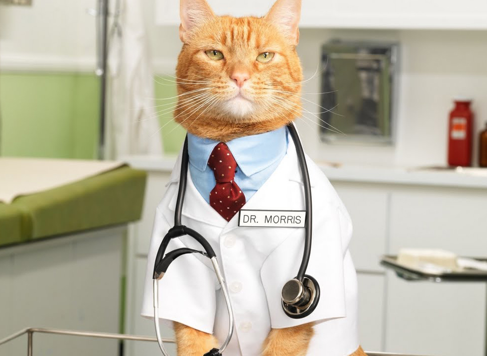 It’s A Brave New World of Obamacare, Here’s How To Live In It
