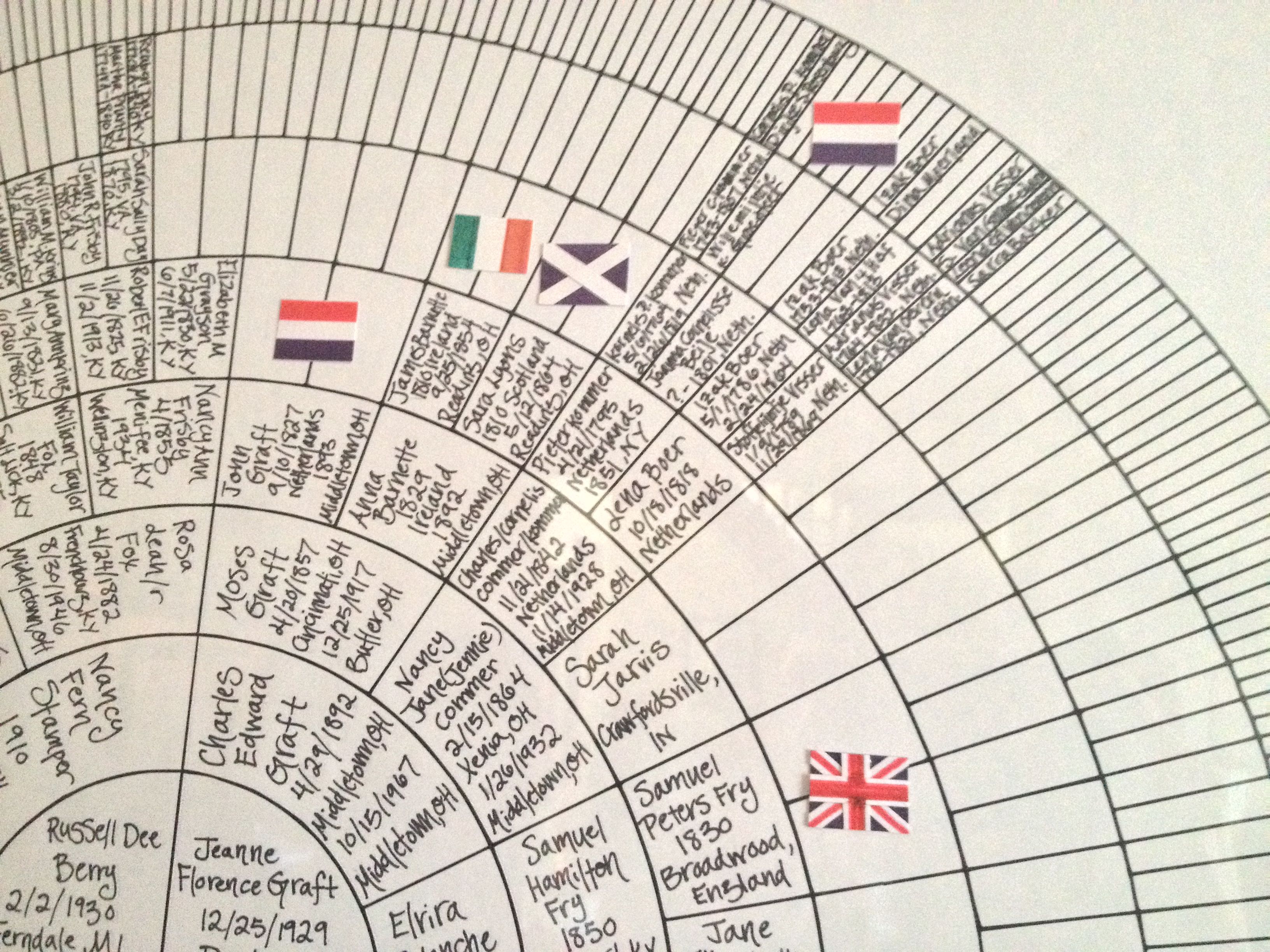Grow a Family Tree: An Ancestral Project You Can Begin Over the Holidays