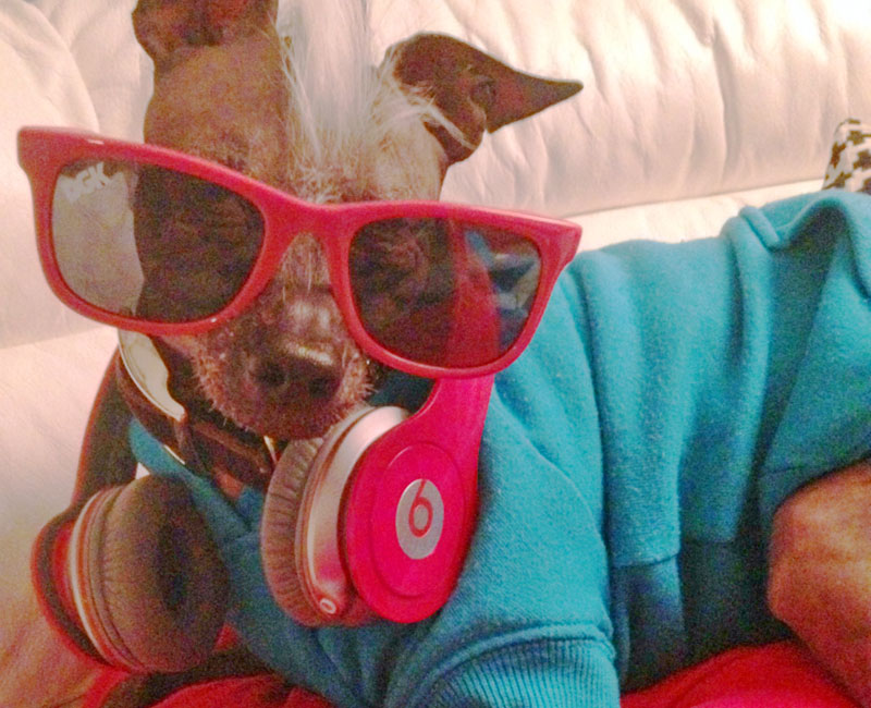 How To Keep A Girl For Ten Years: Taking the Plunge into Pet Parenthood