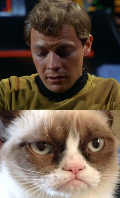 Of course, this lack of sympathy turns Bailey into a massive Grumpy Cat.