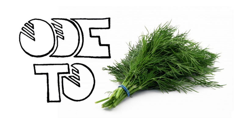 Here’s to Dill, the True Culinary Champion