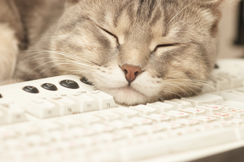 Top 5 Ways To Make Your Desk Job More Exciting