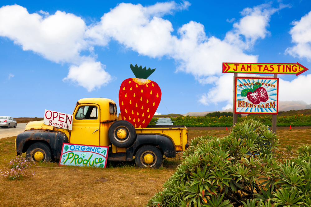 Top 5 Reasons Living In The Bay Area Doesn’t Always Feel Like Real Life