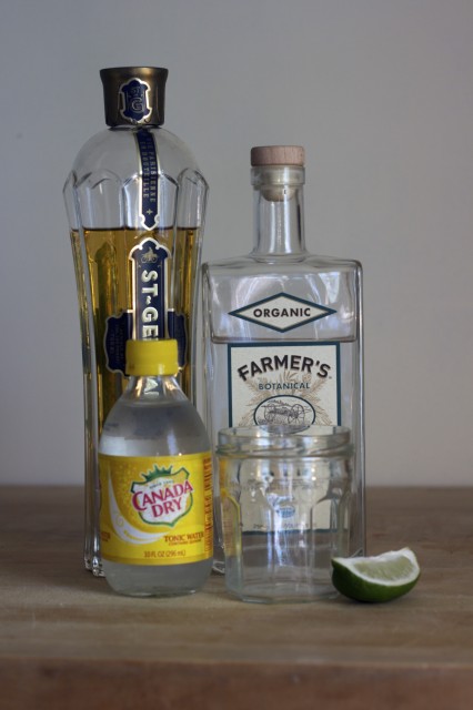 you_will_need_st_germain