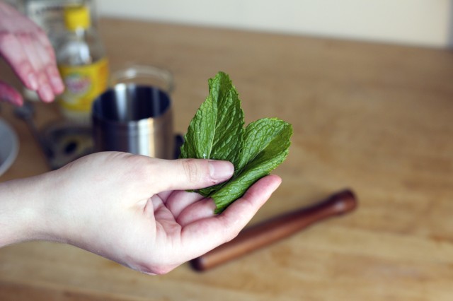 mint_leaves